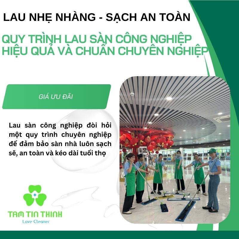 Cây lau nhà công nghiệp