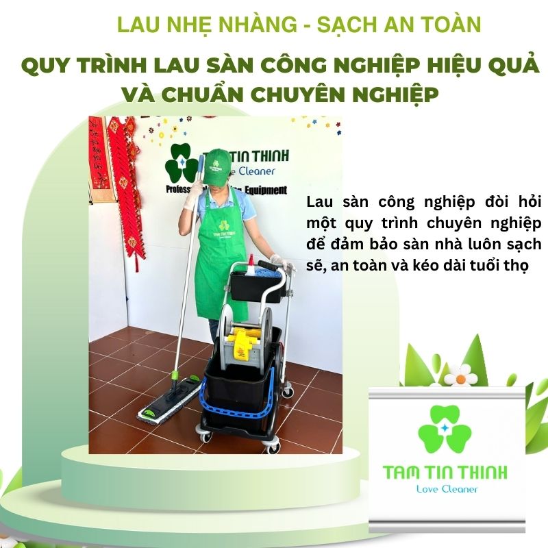 Cây lau nhà công nghiệp